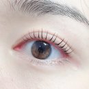 감삼동351 | [대구 대신동:반고개역] 눈화장 따로 필요없는 속눈썹펌 만족후기