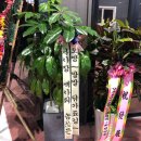 히포워시존 이미지