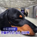 몬스터K | 젠틀몬스터 성수 사옥 위치 카페 티하우스 노웨어 방문 후기