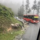 글로리카닥터 | [HN] 하노이 3박 5일 여행 후기