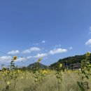 영감댁민박 이미지