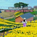 구례백두대간생태교육장 | 전남 구례 가볼만한곳 하루 코스 서시천 벚꽃 화엄사 지리산치즈랜드 수선화