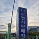 강동로3-1 | [농장일기]김해시산림조합 나무시장 블루베리 사과나무 묘목 구매