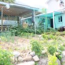 올리브향기 이미지