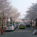 전라북도립미술관 이미지