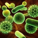 강남더슬림의원 이미지