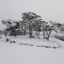 모래틈농장 네이버블로그
