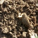 주암농장 이미지