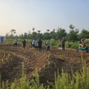 대소원면 행정복지센터 이미지