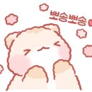 댕댕이살롱 이미지