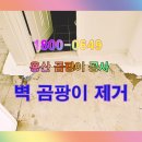 용산-현장-1004 이미지