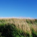 삽다리곱창 이미지