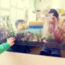 타운(영프라자) 이미지