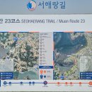 영해 태양광발전소 이미지