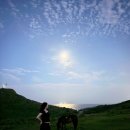 (주) 백마관광 | 제주1-말에 의한 , 말을 위한🐴🥕