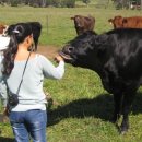 월리농장 이미지