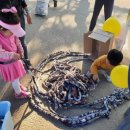 당진3동 이팝나무 이미지