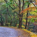 자전거 도로 이미지