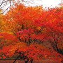 창동노인복지센터 이미지