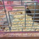 닥터강동물병원 이미지