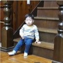 연소목장 이미지