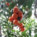 귀촌펜션 이미지