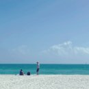 마이애미 이미지