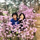 클럽이에스능강휴양콘도미니엄 | 제천 클럽 ES 리조트 탐방기!