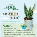 정화슈퍼 이미지