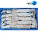 해물로 이미지
