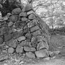 새소망의원 | 하나가 모여 여럿이 되기까지.(by. 흔희)