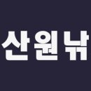 원낚시