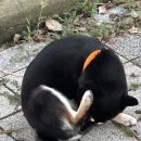 파리바게뜨 서창휴먼시아점 이미지