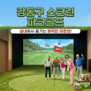 비가 와도 끄떡없어요! 강동구 실내 스크린 파크골프 100% 즐기기