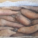 혜성농장 이미지