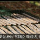 군산옐로우푸드 협동조합 이미지