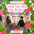 가족농장 | 부산 기장 딸기체험 추천 | 초등 아이들과 겨울에 즐긴 베리굿 농장 가족체험 후기
