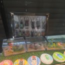 아이들천국(꿈초롱)유치원 | 양평아이와함께 가볼만한 곳양평실내동물원 굼프로곤충체험학습농장 후기