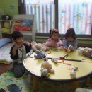 동물병원 산책 이미지