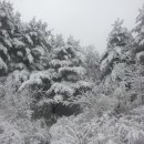 하니농장 이미지