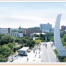 중앙병원(1049) 이미지