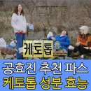 한독큰약국 | 공효진 추천 파스 케토톱, 성분 효능 부작용 완벽 분석
