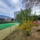 송현골프클럽 이미지