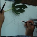 세밀화 그리기 이미지