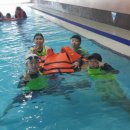 금메달 태권도 교육관 이미지