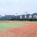 정림리테니스장 이미지