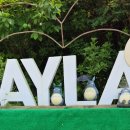 펜션아일라 이미지