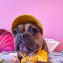 스파트리송정 이미지