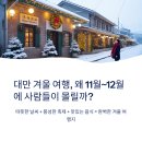 장명농장 | 대만 겨울 여행, 왜 11월~12월에 사람들이 몰릴까?