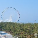 유에이치플랫더속초 이미지